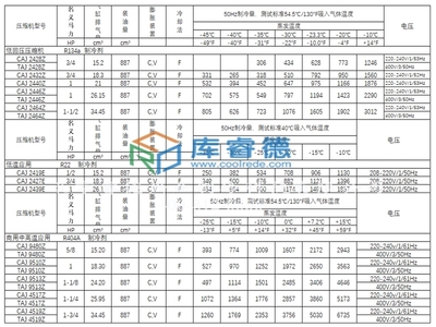 法國泰康制冷壓縮機TAJ4519T-Tt