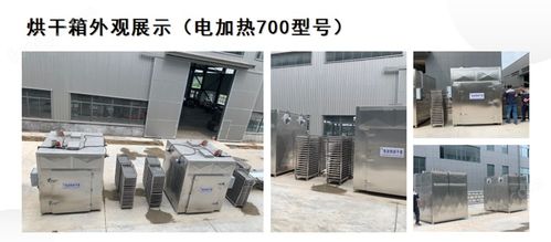 草莓電加熱烘干機 水果干烘干設備